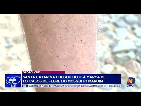 Alerta em Santa Catarina: 137 casos de febre do mosquito maruim