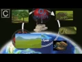 The Carbon Cycle