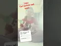 lagu Cari berkah (Cabe) wali band.