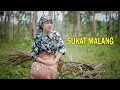 Lagu Ringit Padang Guci | Sukat Malang EMI Ft Sanil