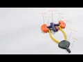 The Human Urinary system
