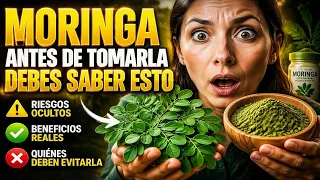 La Verdad Sobre La Moringa Que Pocos Explican Correctamente.