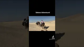 Sahara Adventure!