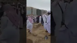 قصيدة للشاعر محمد حسان سفري بعيد دندنها
