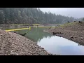 Trout Stocking Schedule 2026 Foster Lake Green Peter South Santiam Oregon