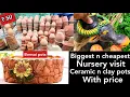 Plants pots with price Clay pots ceramic pots plastic pots cocopeat cheapest nursery online