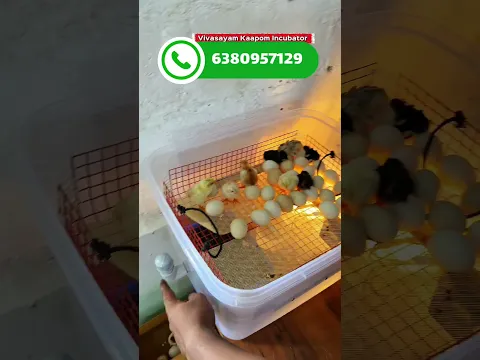 🌾விவசாயம் காப்போம் 💪இங்குபேட்டர் 🐣#Incubator#Reels#Manufacturing#Trending #Agriculture Vivasayam