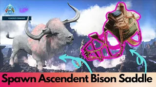 Ascendant and primitive Bison Saddle Spawn Command Ark Survival Ascended