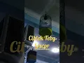 Download Lagu Ciblek tebu Gacor bosku