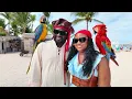 Download Lagu The next Love Sparks Couples Retreat - Sandals Antigua Resort and Spa - April 23 to 26, 2026