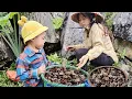 Download Lagu The boy and his mother went into the forest to pick up strange snails in the rocky mountains