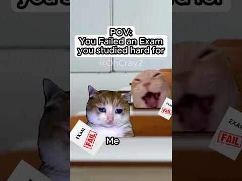 CAT MEMES 🐱 YOU FAILED AN EXAM YOU STUDIED HARD FOR #relatable #cat #funny #school #shorts