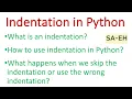 Indentation in Python Python Indentation Indentation in Python with examples CBSE Python