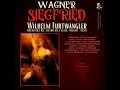 Siegfried, Act 1, Scene 3: "Notung! Notung! Neidliches Schwert!" (Siegfried, Mime) (2023...