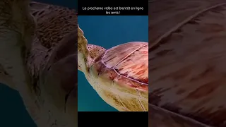 Ne soyez pas impatient 😜 l’épisode 126 est presque fini ✅