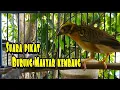 Download Lagu pikat ampuh burung Manyar bahan ombyokan gacor