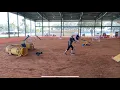 2022 AKC Agility Novice Standard