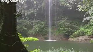  فيروز  هل تخزت الغاب مثلي       دندنها