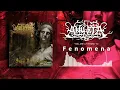 Download Lagu Anueta - Fenomena