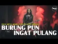 Lagu Burung Pun Ingat Pulang – Nia Daniaty | Cover by ALOtone