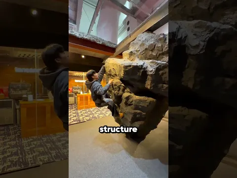This Store Makes You Climb Inside 😱