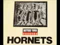Hornets - Somebody’s Gonna Get Their Head Kicked In