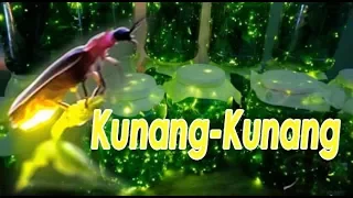 Download LAGU KUNANG KUNANG MALAM LOMBOK [PAVORITE DAHULU] MP3