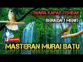 Lagu Masteran suara burung kapas tembak MBESET panjang berjeda 1 menit! agar burung mudah merekem!!!