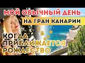 Lagu ИСПАНИЯ КАНАРСКИЕ ОСТРОВА ЗИМОЙ. Мой день без тревожных новостей!