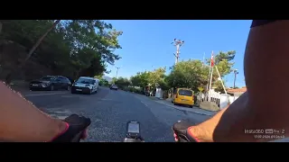                         دندنها