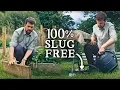 Download Lagu 10 Best \u0026 Cheap Ways to Get Rid of Slugs in Your Garden