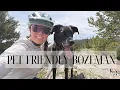 DOG FRIENDLY BOZEMAN MT BEST PARKS PATIOS TRAILS