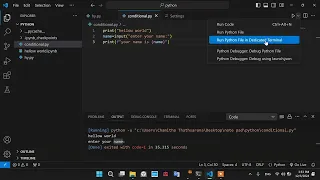 vs code not taking user input python solved