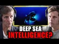 Download Lagu NASA's New Ocean Search: Why They Stopped Looking in Space for Intelligence | Tim Gallaudet