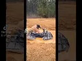 axis 500 putting in work with the big boys