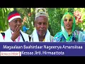Download Lagu AMECO HIBIR: Magaalaan Baahirdaar Nageenya Amansiisaa Kessaa Jirti. Hirmaattota 09/10/2017