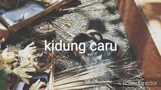 Download Kidung caru pupuh jerum MP3