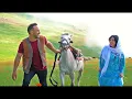 Download Lagu -موزیک ویدئوی تالشی با صدای پوبان تالشیPouyan Taleshi Music Video