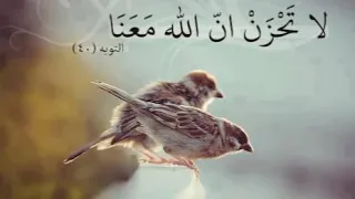 لا تحزن ان الله مع الصابرين 