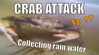 Sailing Wisdom: CRAB ATTACK! | Ep 19