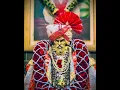 Download Lagu Swapnat aale mazya shankar chile datta | Jay shankar baba |