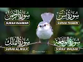 Lagu Magical Recitation Surah Yaseen (Yasin) | Surah Rahman | Surah Waqiah | Surah Mulk
