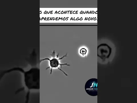 Isso ACONTECE com o seu CÉREBRO quando você APRENDE algo novo.
