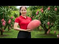 Download Lagu Harvesting 1000+ Giant Red Mango Goes to Market Sell, Enjoy Young Mango with Salt Chili Super spicy