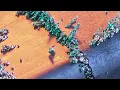 Vandelux - All I've Ever Known