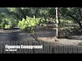 Car Camping at Figueroa Campground My West Coast Travel adventure