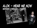 Lagu Alok - Hear me now (Montagem e tradução)