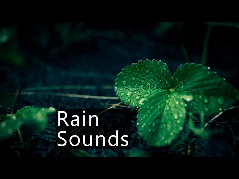 How to record rain sounds
