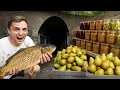 Download Lagu Unsere erste ERNTE | 100 Tage Autark - Folge 6