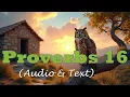Proverbs 16 KJV BIBLE With Text Images